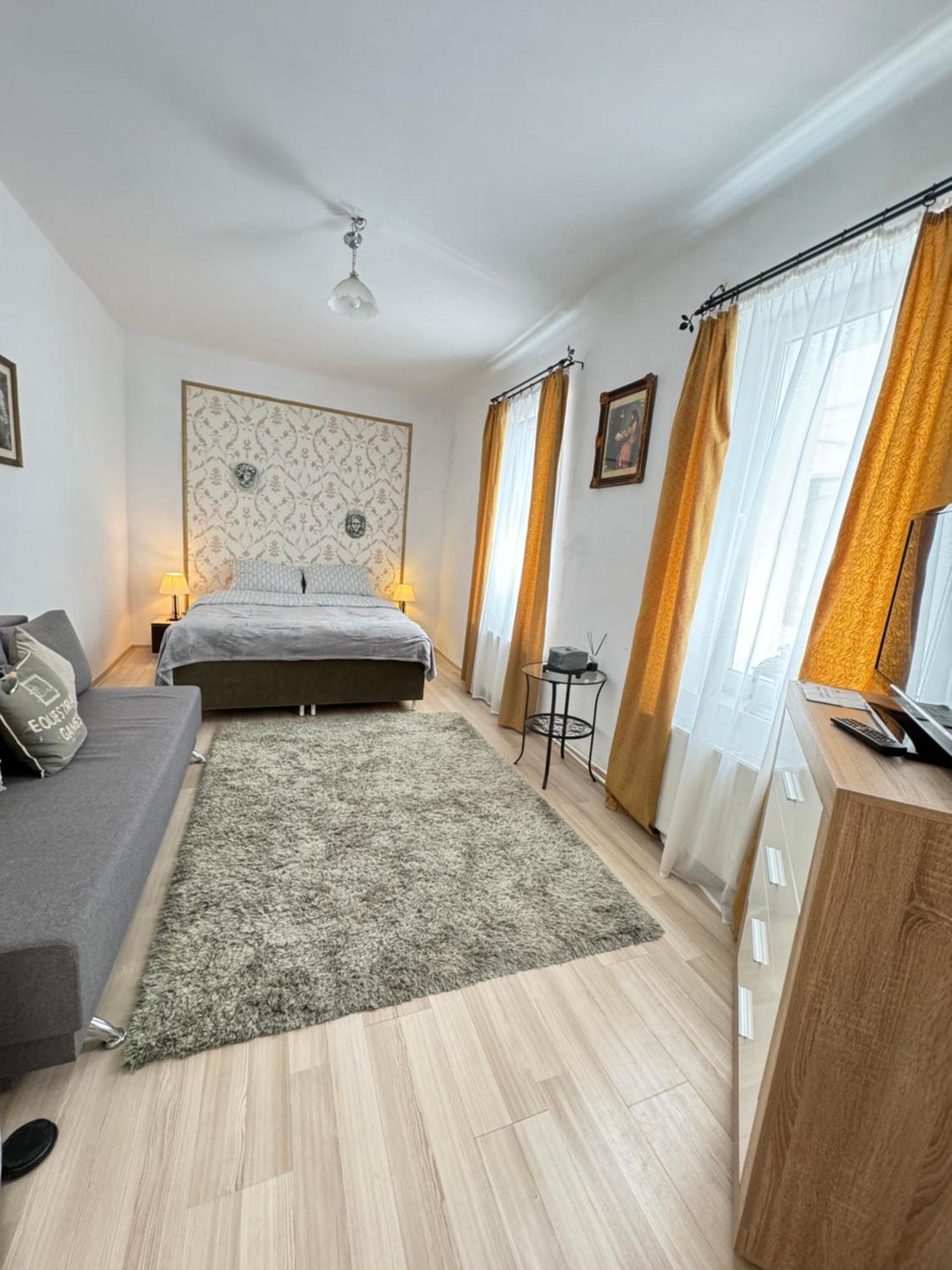 Ari Apartment Braşov Eksteriør billede